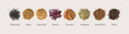 Load image into Gallery viewer, Elderberry Elixir 9ct Tea Bags