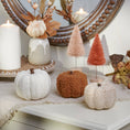 Load image into Gallery viewer, Knitted Pumpkin Set