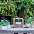 Load image into Gallery viewer, Front Porch Special Individually Wrapped Tea Bags - 50ct