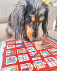 Load image into Gallery viewer, Advent Calendar - 25 Days of Dog Treats