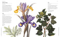 Load image into Gallery viewer, Flowers And Their Meanings