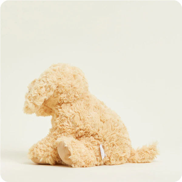 Golden Dog Warmies Junior