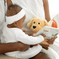Load image into Gallery viewer, Golden Dog Warmies Junior