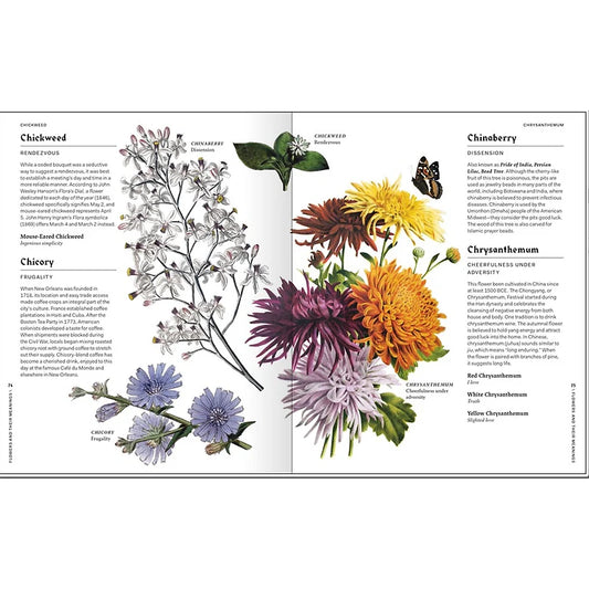 Flowers And Their Meanings