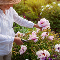 Load image into Gallery viewer, Memorial Garden: Love Blooms Sympathy Windchime - 9004