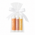 Load image into Gallery viewer, Fall Lip Balm Gift Set – Pumpkin, Citrus & Vanilla Chai