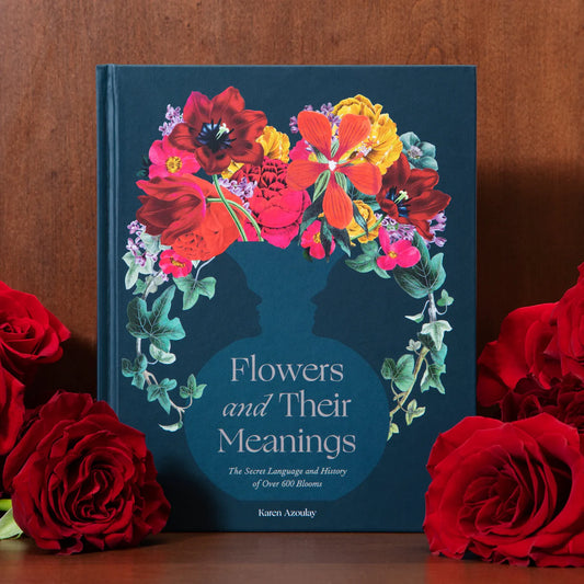 Flowers And Their Meanings