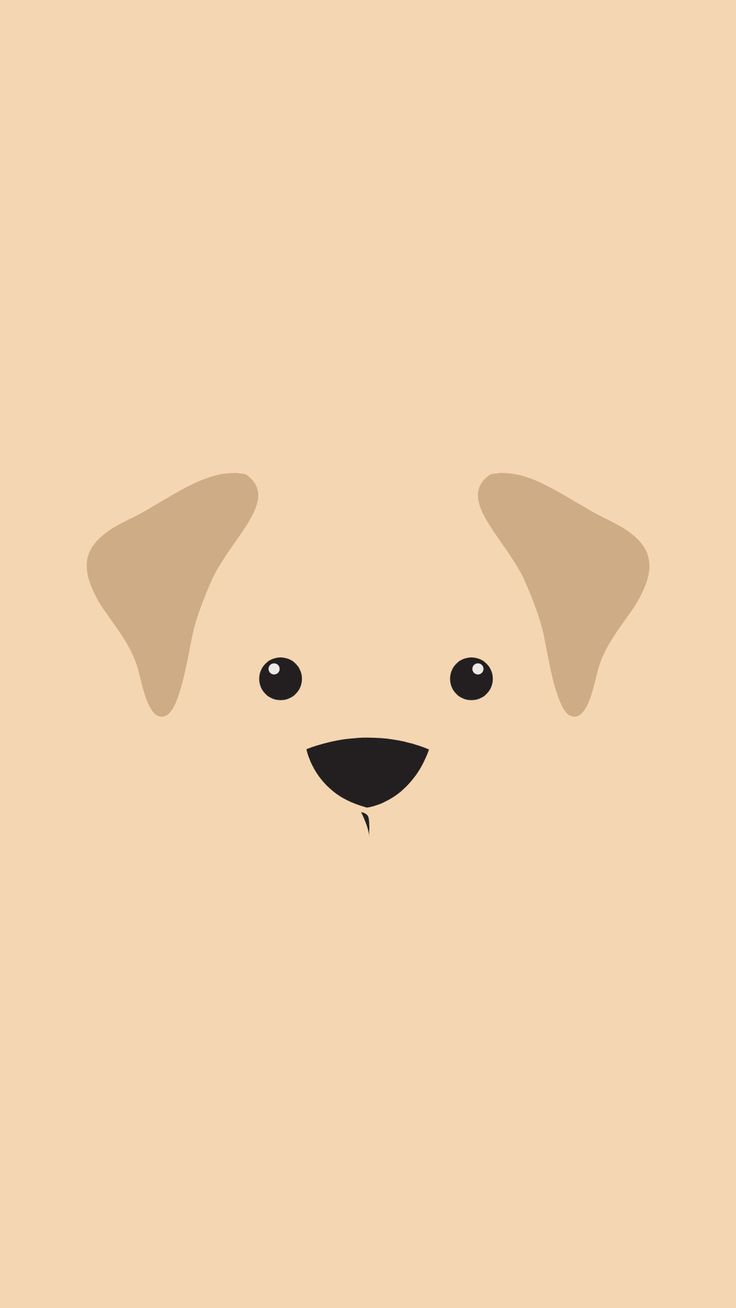 Furry Friends Collection