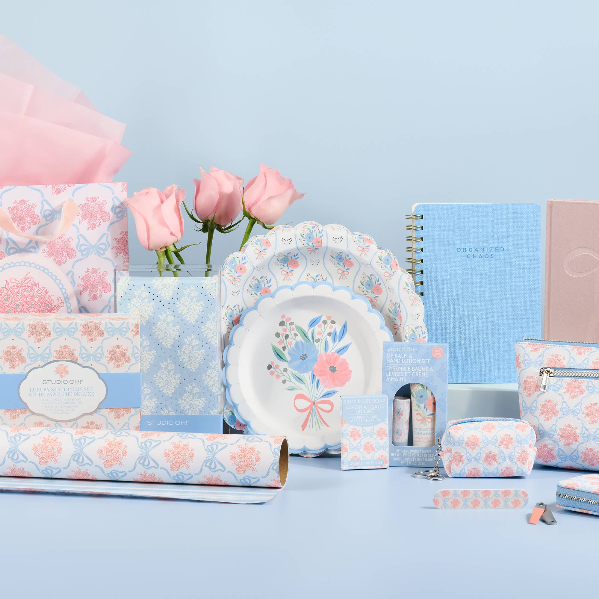 Organized Chaos (Sky Blue) Agatha Notebook