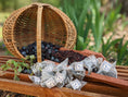 Load image into Gallery viewer, Briar Patch Brew - 9 Tea Bags
