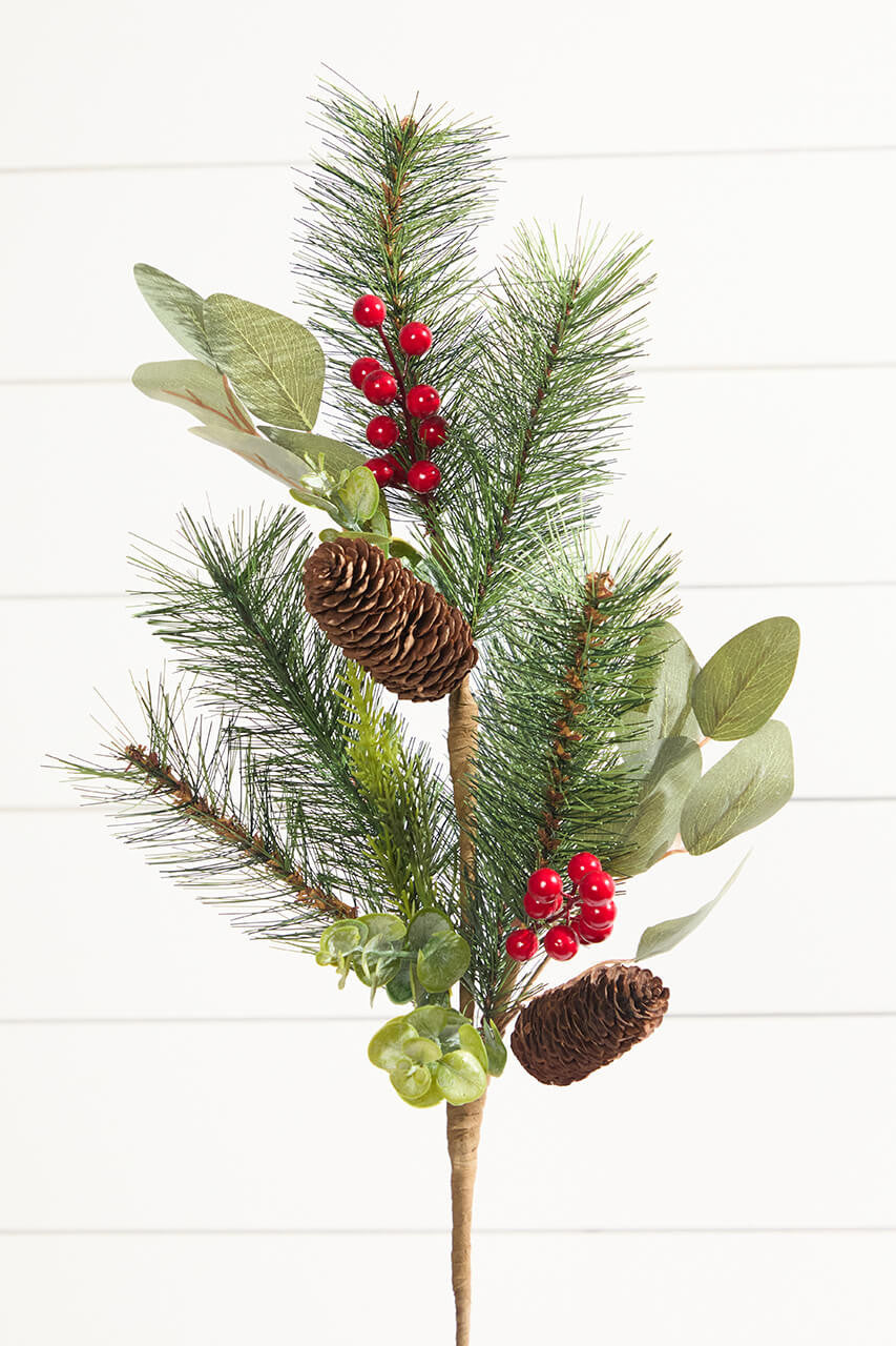 Mixed Pine & Eucalyptus Stem