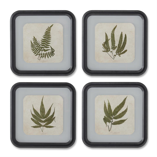 Framed Fern Square