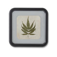 Load image into Gallery viewer, Framed Fern Square
