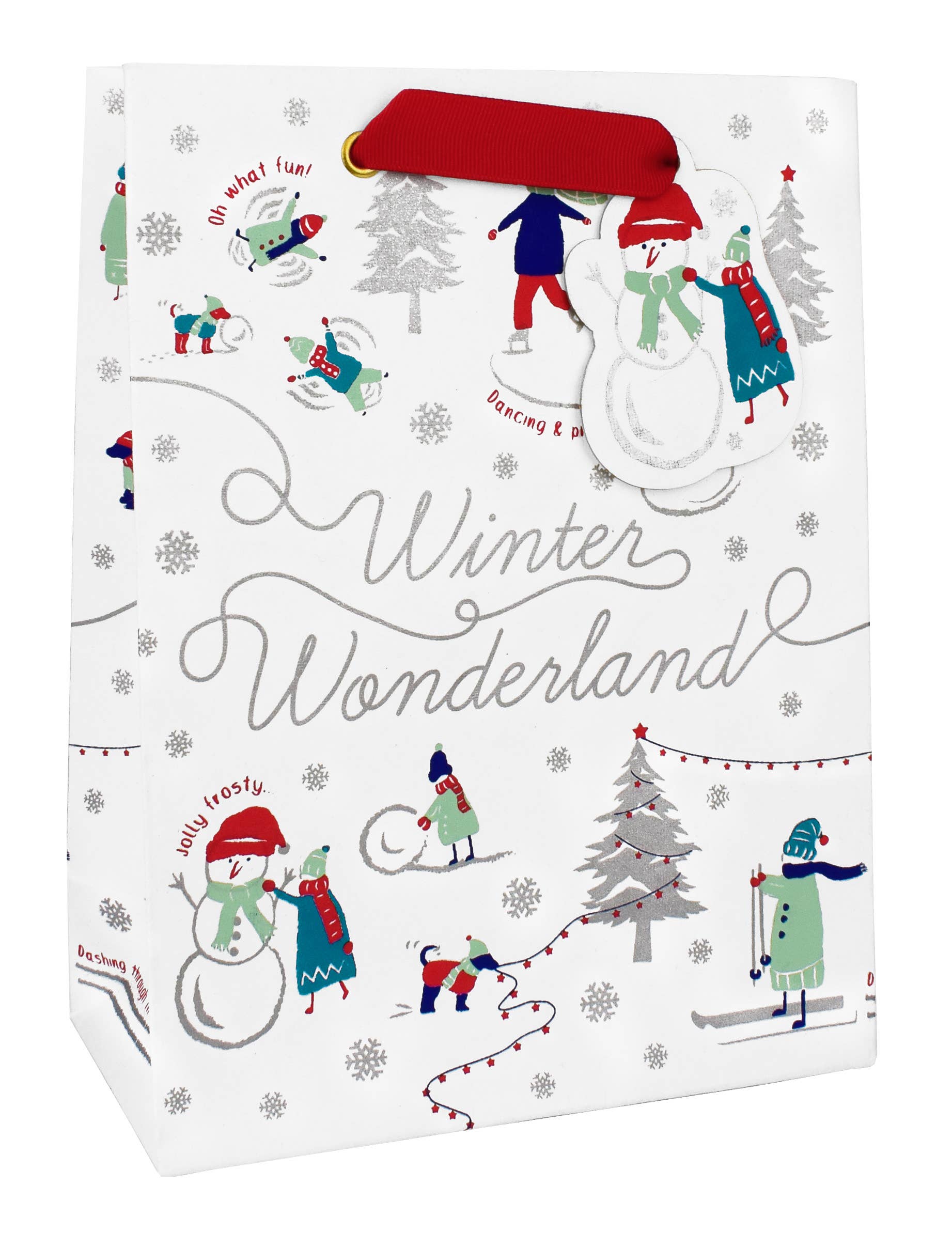 Winter Wonderland Gift Bag