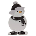 Load image into Gallery viewer, 2/Set, Snowkid Chunky Sitters

