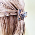 Load image into Gallery viewer, Acrylic Hair Claw Clip
