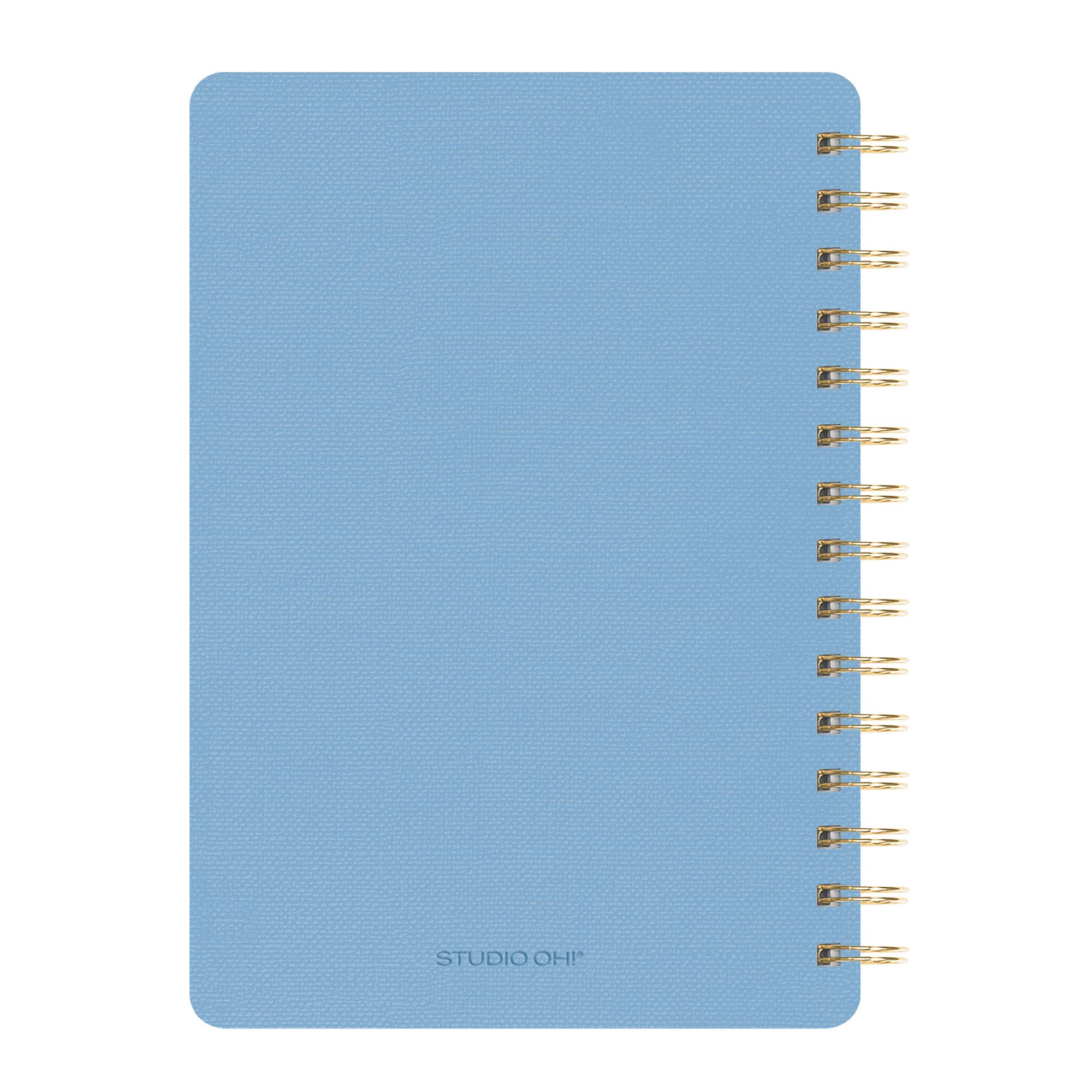 Organized Chaos (Sky Blue) Agatha Notebook