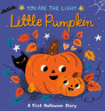 Load image into Gallery viewer, You Are the Light Pumpkin
