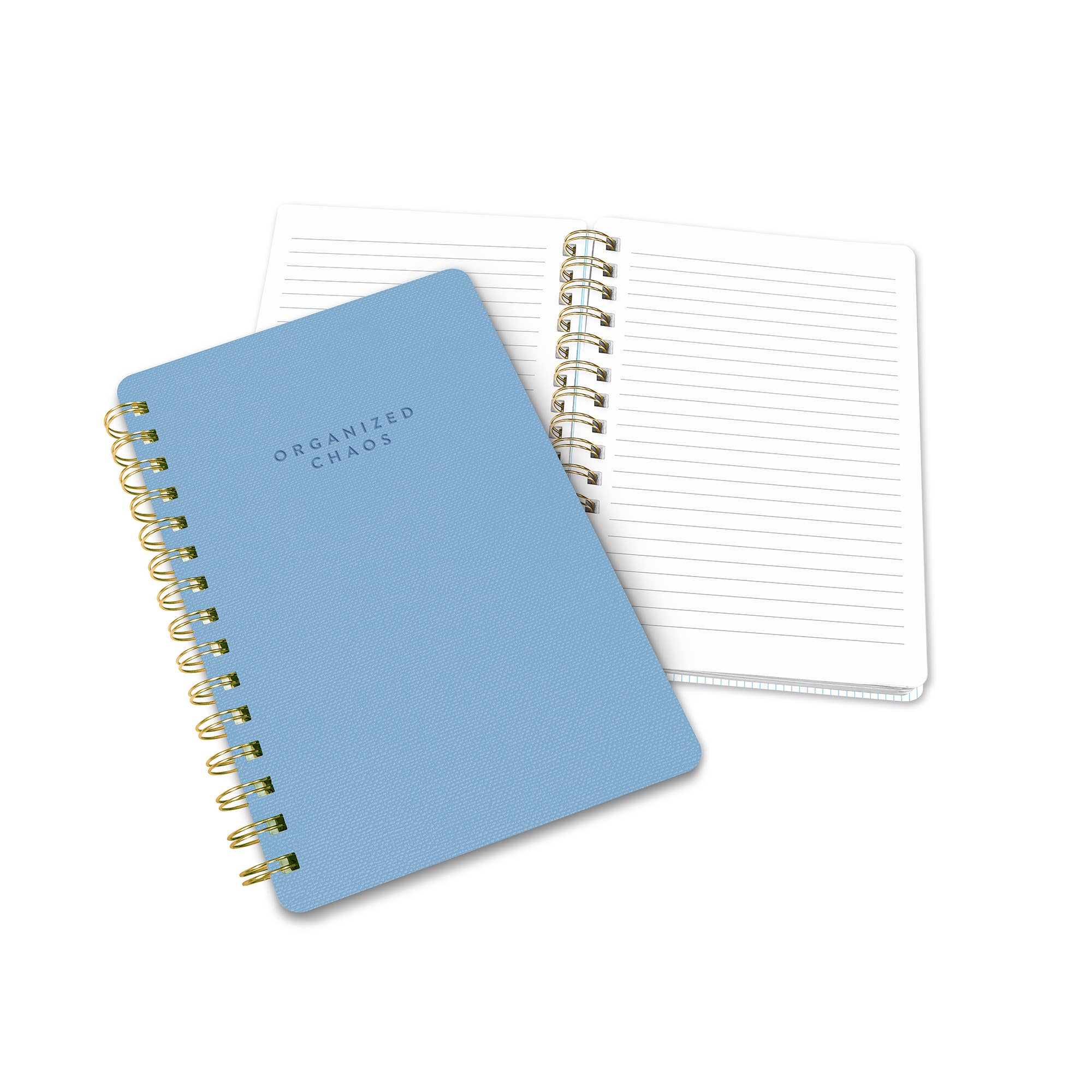 Organized Chaos (Sky Blue) Agatha Notebook