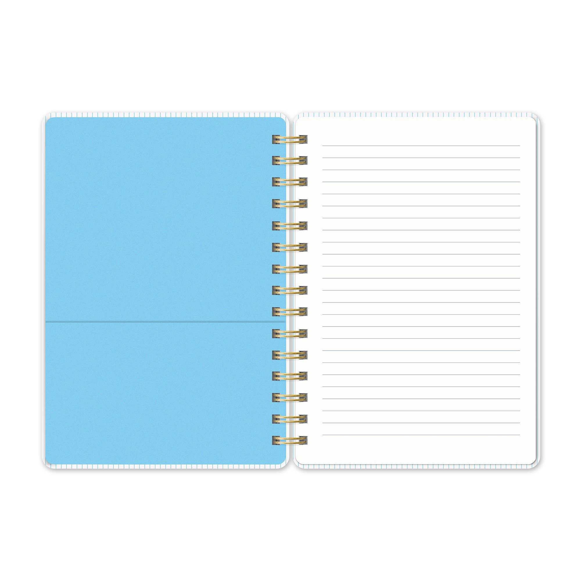 Organized Chaos (Sky Blue) Agatha Notebook