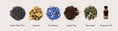 Load image into Gallery viewer, Front Porch Special - 9 Tea Bags
