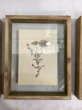 Load image into Gallery viewer, Framed Flower Shadow boxes
