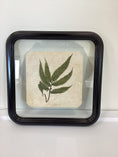 Load image into Gallery viewer, Framed Fern Square
