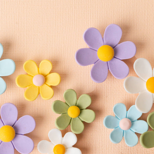 Daisy Delight Magnet Set-White
