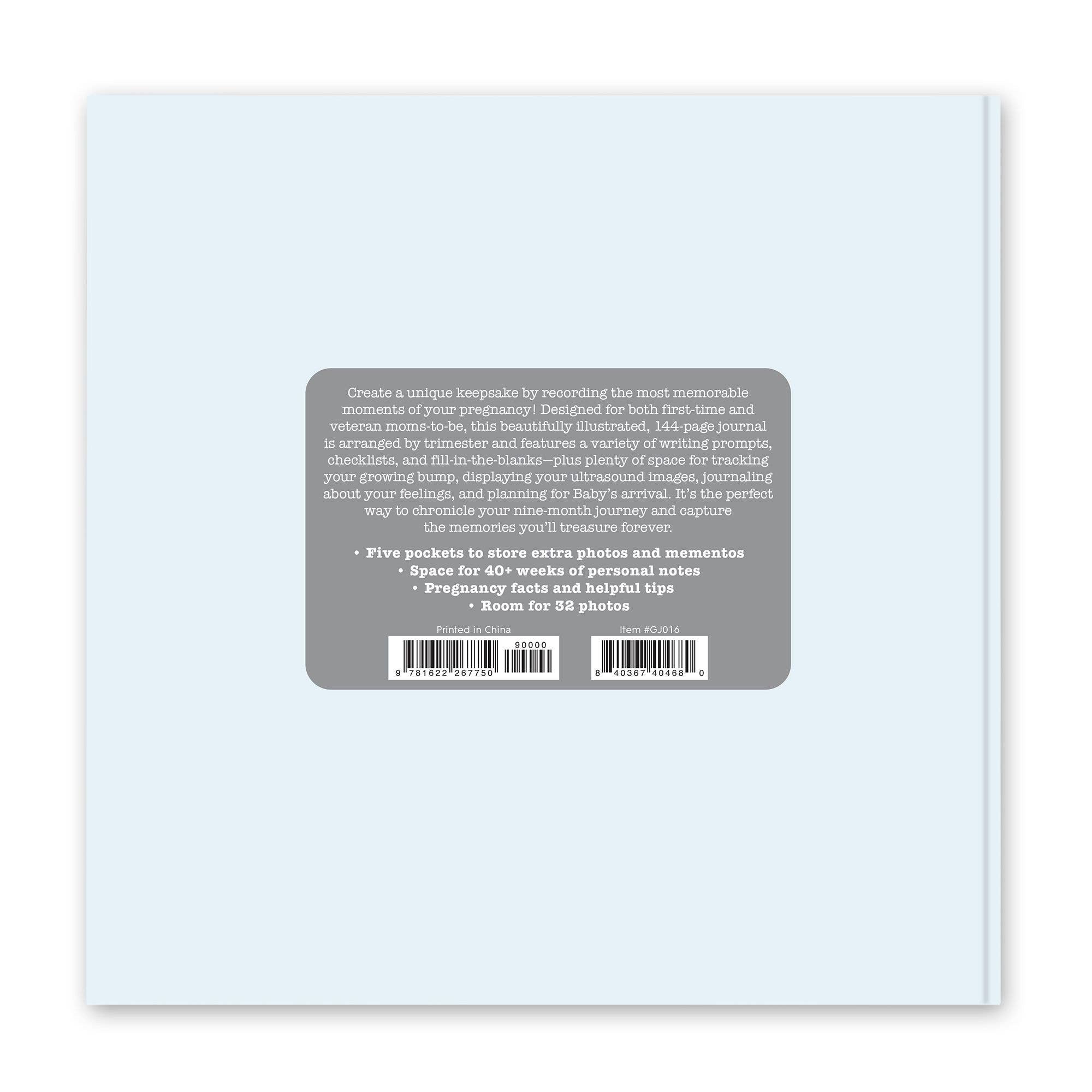 Bump for Joy: A Pregnancy Journal (Blue)