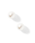 Load image into Gallery viewer, Screwback Stud Earrings - Payton Pearl
