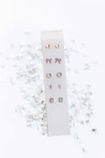 Load image into Gallery viewer, Screwback Stud Earrings - Sadie - Silver
