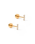 Load image into Gallery viewer, Screwback Stud Earrings - Hazel
