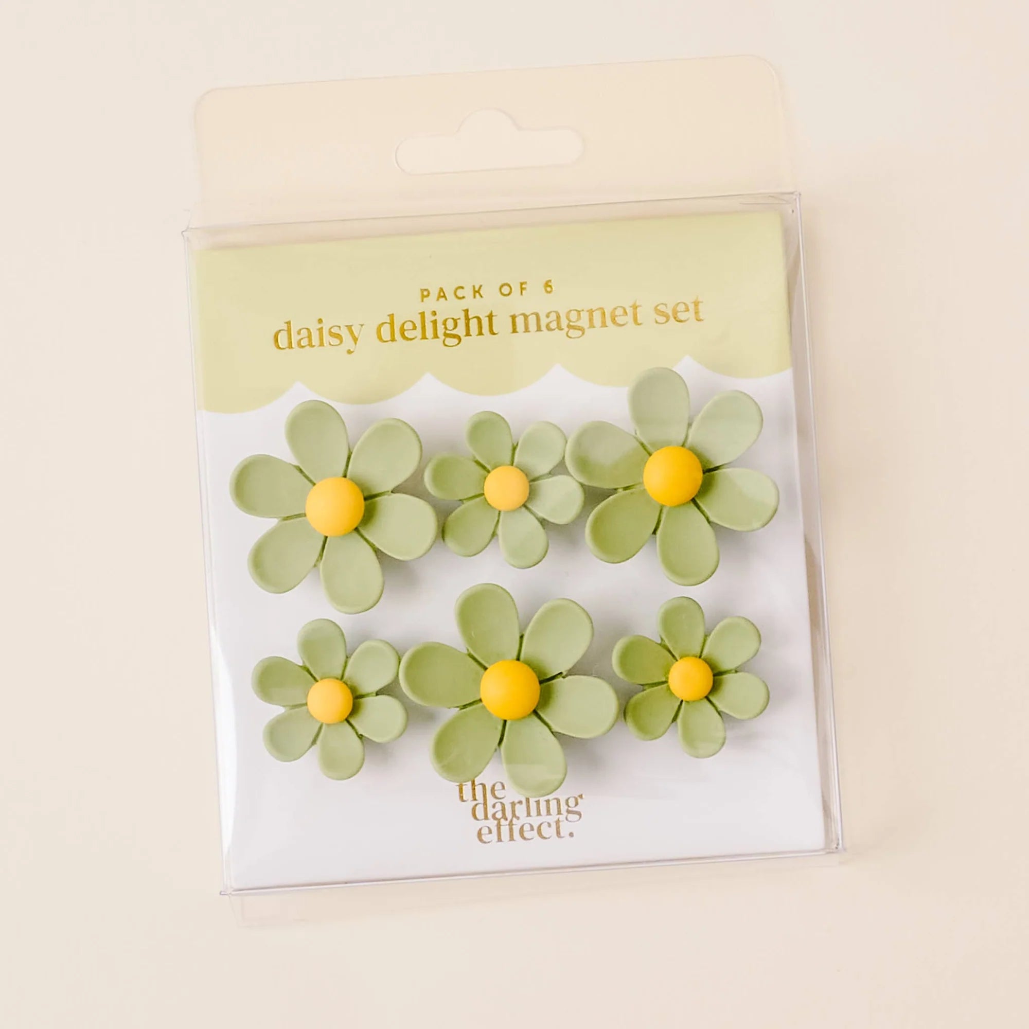 Daisy Delight Magnet Set