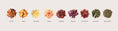 Load image into Gallery viewer, Orchard Peach - 9 Tea Bags
