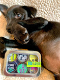 Load image into Gallery viewer, Dog Lover Magnets - Fun, Handmade & Eco-friendly
