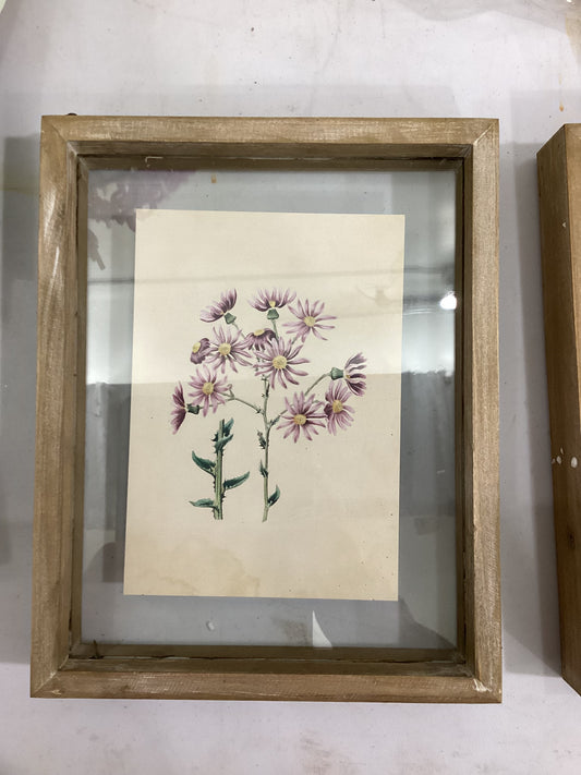 Framed Flower Shadow boxes