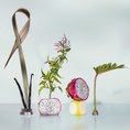 Load image into Gallery viewer, Pink Palm Eau de Parfum Travel Spray
