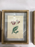 Load image into Gallery viewer, Framed Flower Shadow boxes
