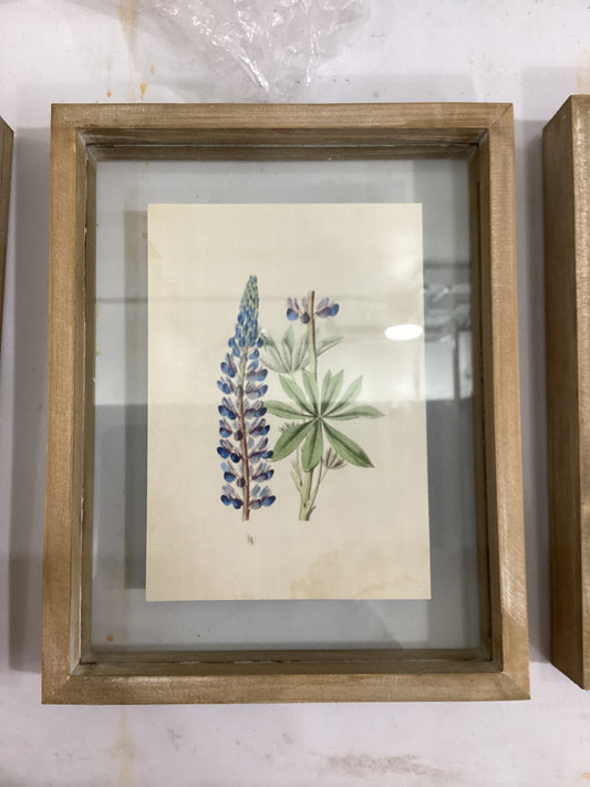 Framed Flower Shadow boxes