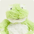 Load image into Gallery viewer, Frog Warmies Junior
