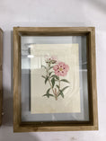 Load image into Gallery viewer, Framed Flower Shadow boxes
