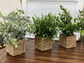 Load image into Gallery viewer, Assorted Artificial Herbs
