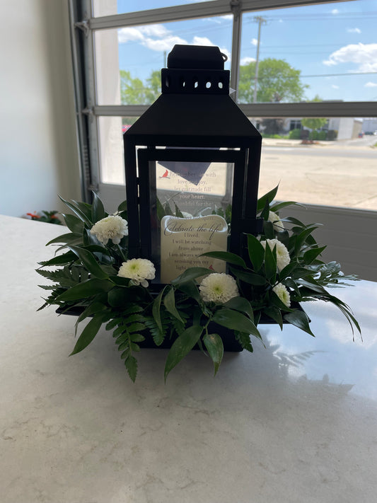 Lantern Sympathy Arrangement