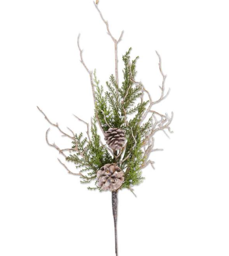 Juniper Stem with Pine Cones and Blue Berries