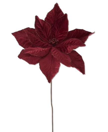 Red Poinsettia Stem