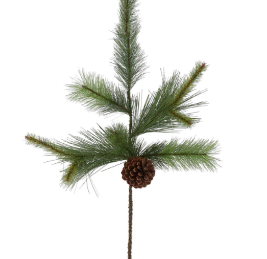 Pine Stem with Pine Cones