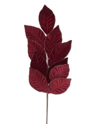 Red Poinsettia Leaf Stem
