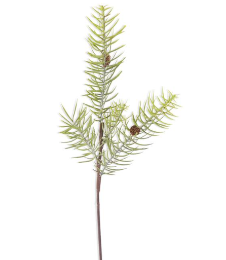 Powered Long Pine Stem