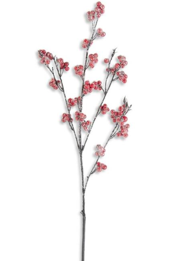 Red Berry Branch