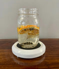 Load image into Gallery viewer, Fall Y’all Organic Simmer Pot Packs
